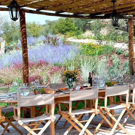 Rustic Caminata With Panorama View Villa *